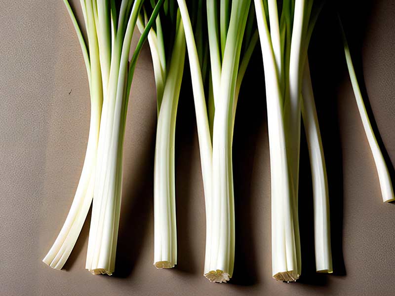Friends of Bruchsal Society Welsh Emblems - Leeks Friends of Bruchsal Society Welsh Emblems - Leeks